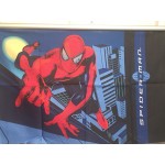 Spiderman & the Moon